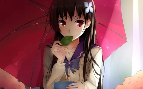 Waifu2x Extension GUI - 开源图片视频GIF无损放大AI神器，本地整合包，视频不再模糊~