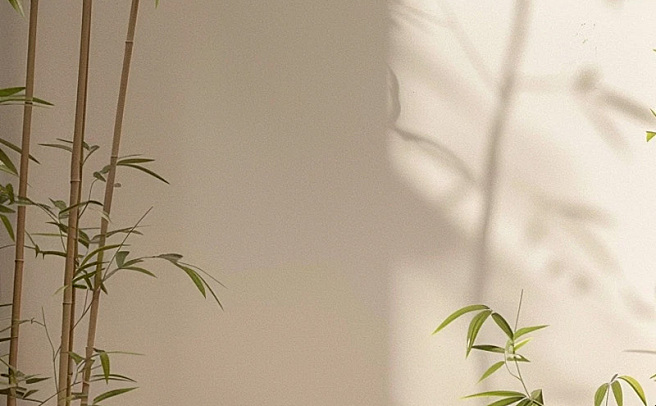 北欧极简主义产品舞台