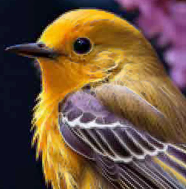 Aiarty Image Enhancer v3.5 - Digiarty 旗下图像无损放大AI细节增强神器，完美激活，便携破解版，支持 Windows/MacOS
