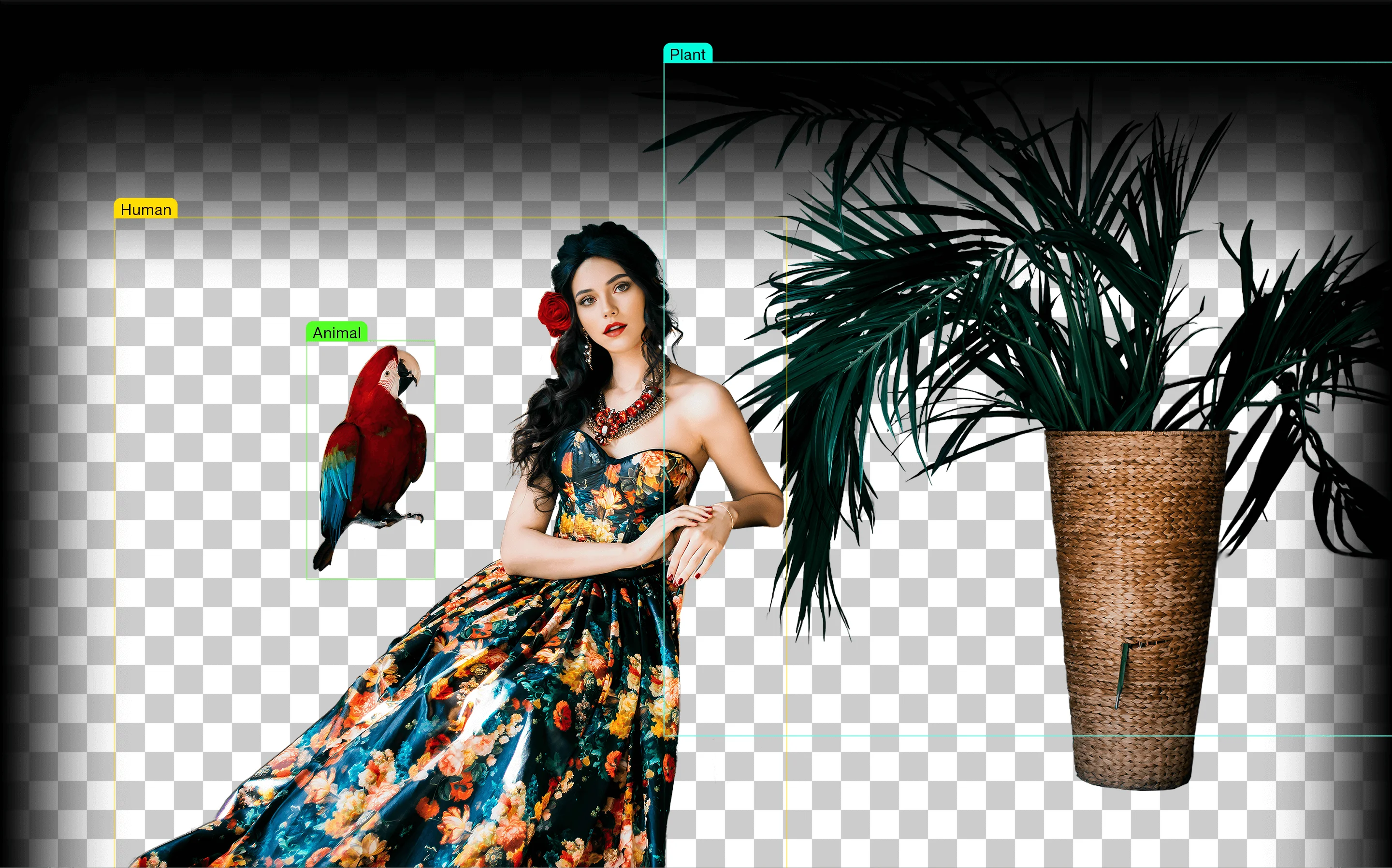 Aiarty Image Matting v2.6 - Digiarty 旗下图像背景移除抠图AI神器，性价比之王，终身完美激活，支持批量，本地便携破解版，支持 Windows/MacOS