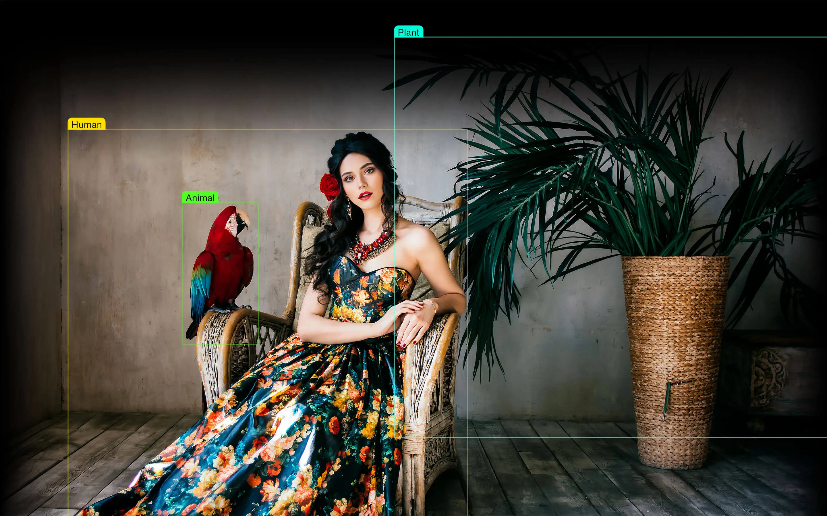 Aiarty Image Matting v2.6 - Digiarty 旗下图像背景移除抠图AI神器，性价比之王，终身完美激活，支持批量，本地便携破解版，支持 Windows/MacOS