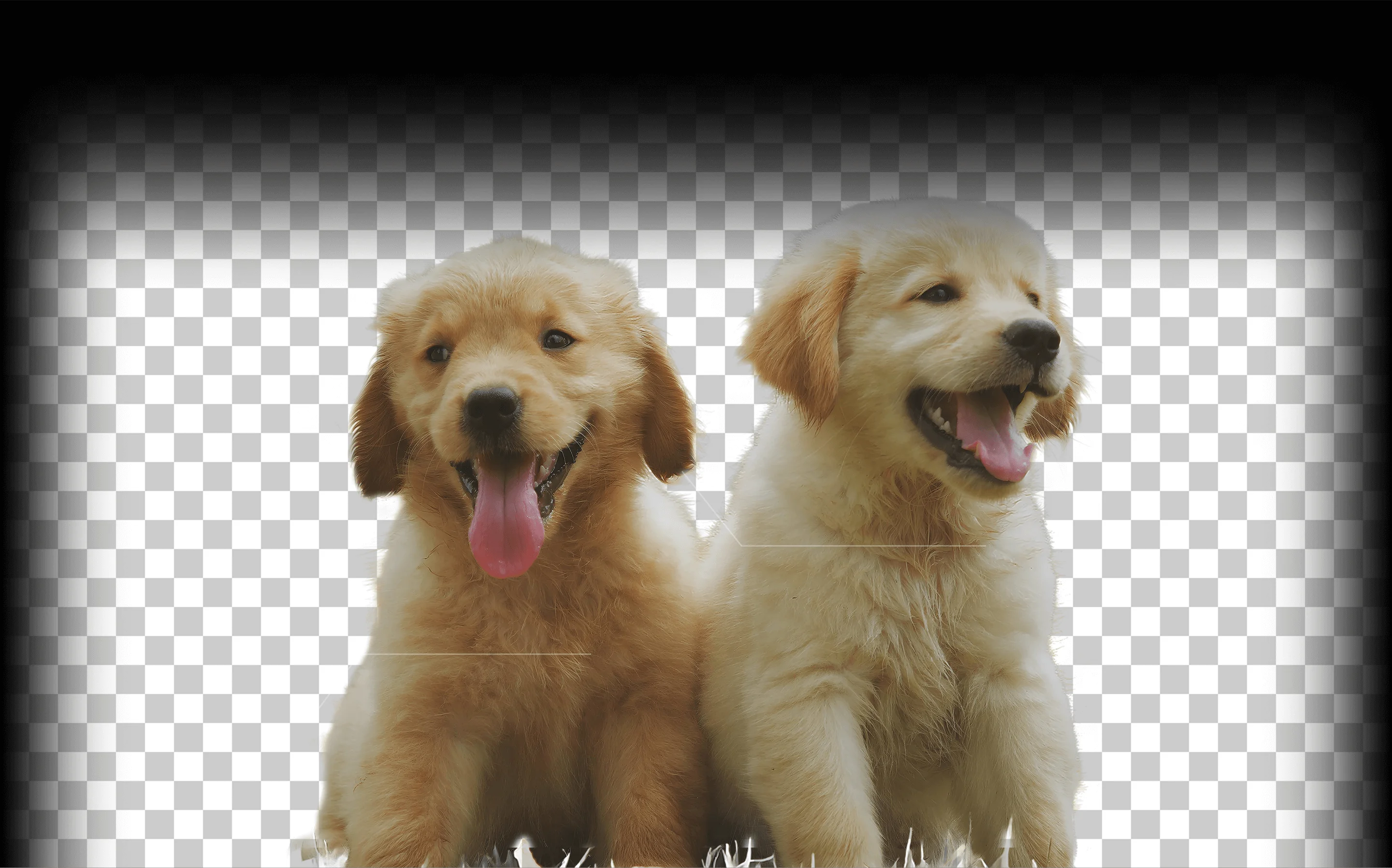 Aiarty Image Matting v2.6 - Digiarty 旗下图像背景移除抠图AI神器，性价比之王，终身完美激活，支持批量，本地便携破解版，支持 Windows/MacOS