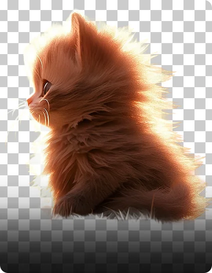 Aiarty Image Matting v2.6 - Digiarty 旗下图像背景移除抠图AI神器，性价比之王，终身完美激活，支持批量，本地便携破解版，支持 Windows/MacOS
